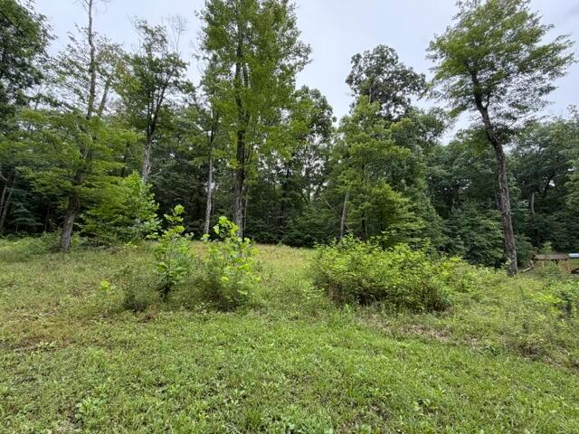 26360 Schoolie Road Creola, OH 45622 - Photo 36 of 46
