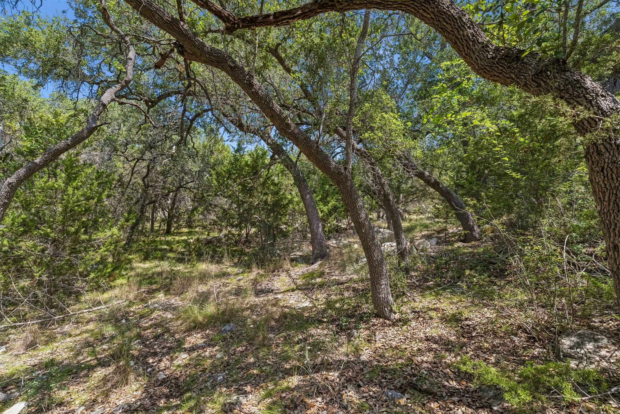 854 Maximino Ridge Road Bulverde, TX 78163 - Photo 14 of 32 Gallery Image 14