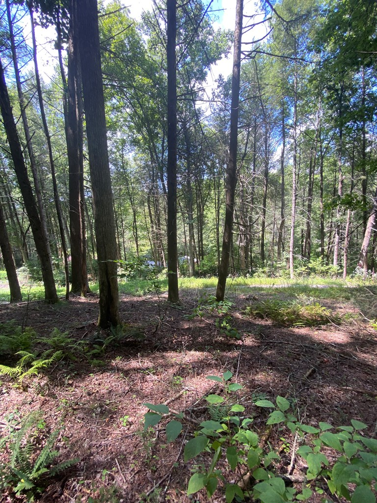 Undisclosed Address Blue Ridge, GA 30513 - Photo 12 of 15