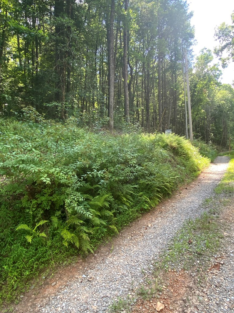 Undisclosed Address Blue Ridge, GA 30513 - Photo 13 of 15