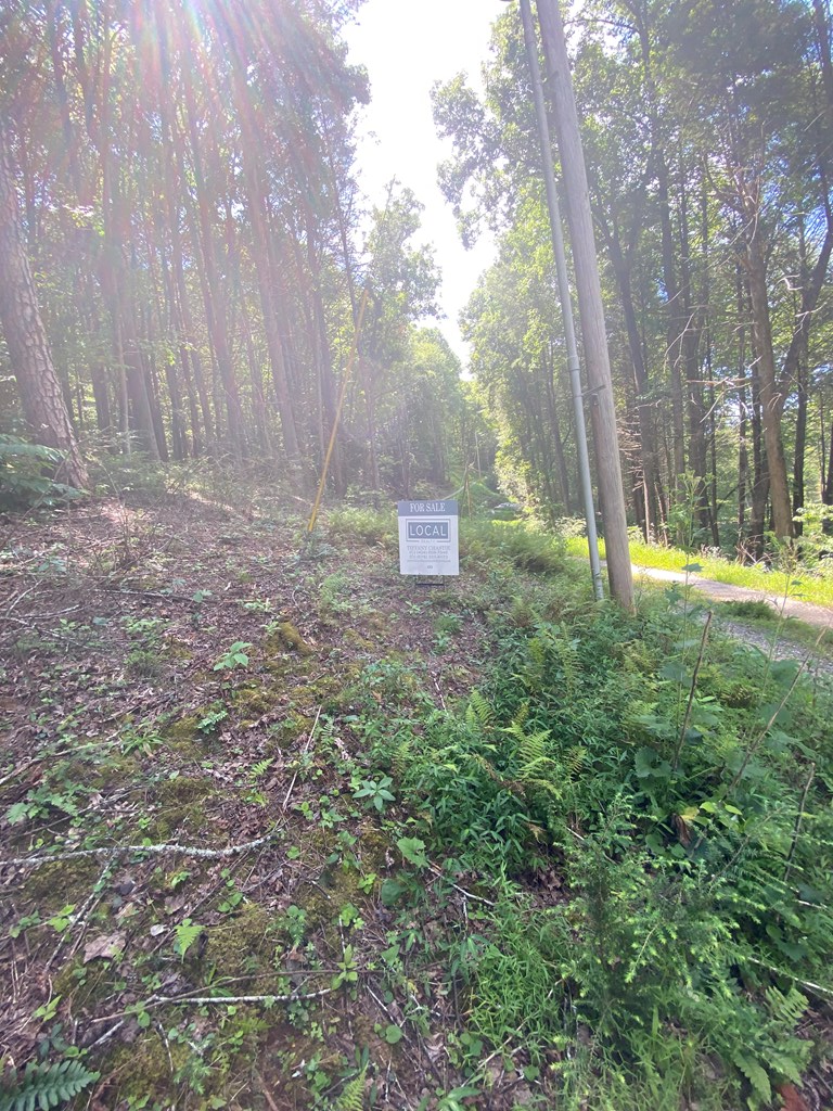 Undisclosed Address Blue Ridge, GA 30513 - Photo 14 of 15