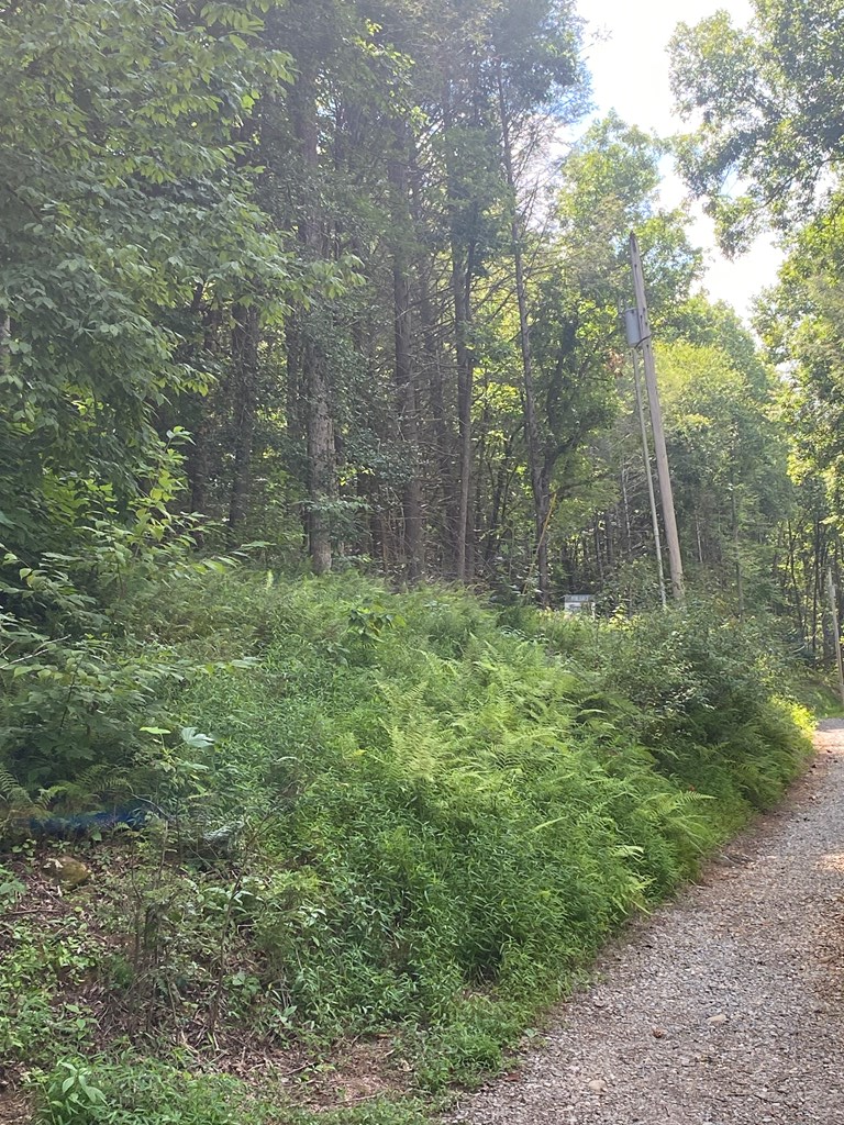 Undisclosed Address Blue Ridge, GA 30513 - Photo 15 of 15