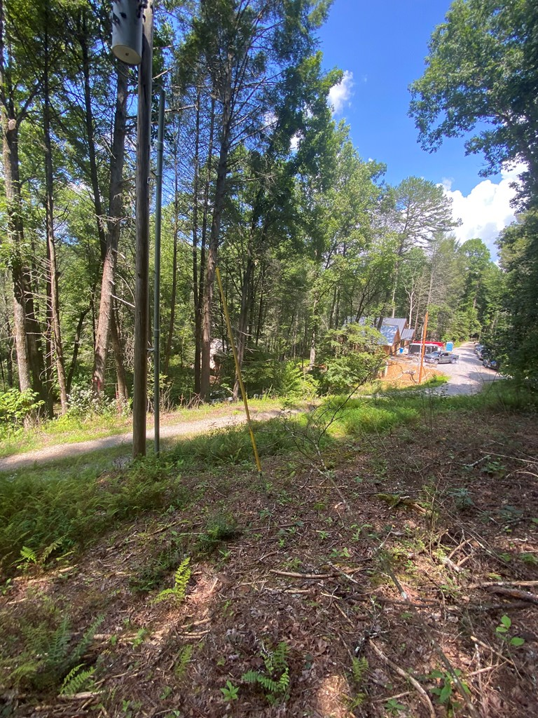 Undisclosed Address Blue Ridge, GA 30513 - Photo 3 of 15