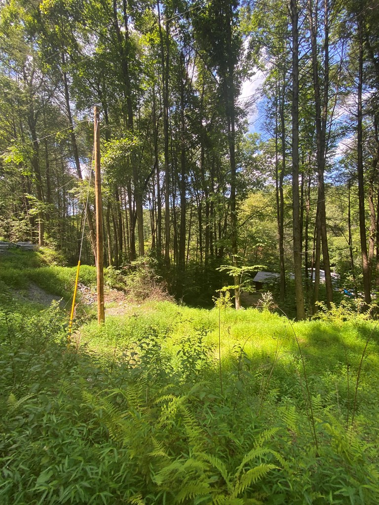 Undisclosed Address Blue Ridge, GA 30513 - Photo 6 of 15