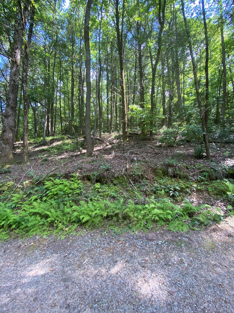 Undisclosed Address Blue Ridge, GA 30513 - Photo 7 of 15