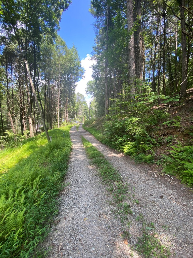 Undisclosed Address Blue Ridge, GA 30513 - Photo 8 of 15