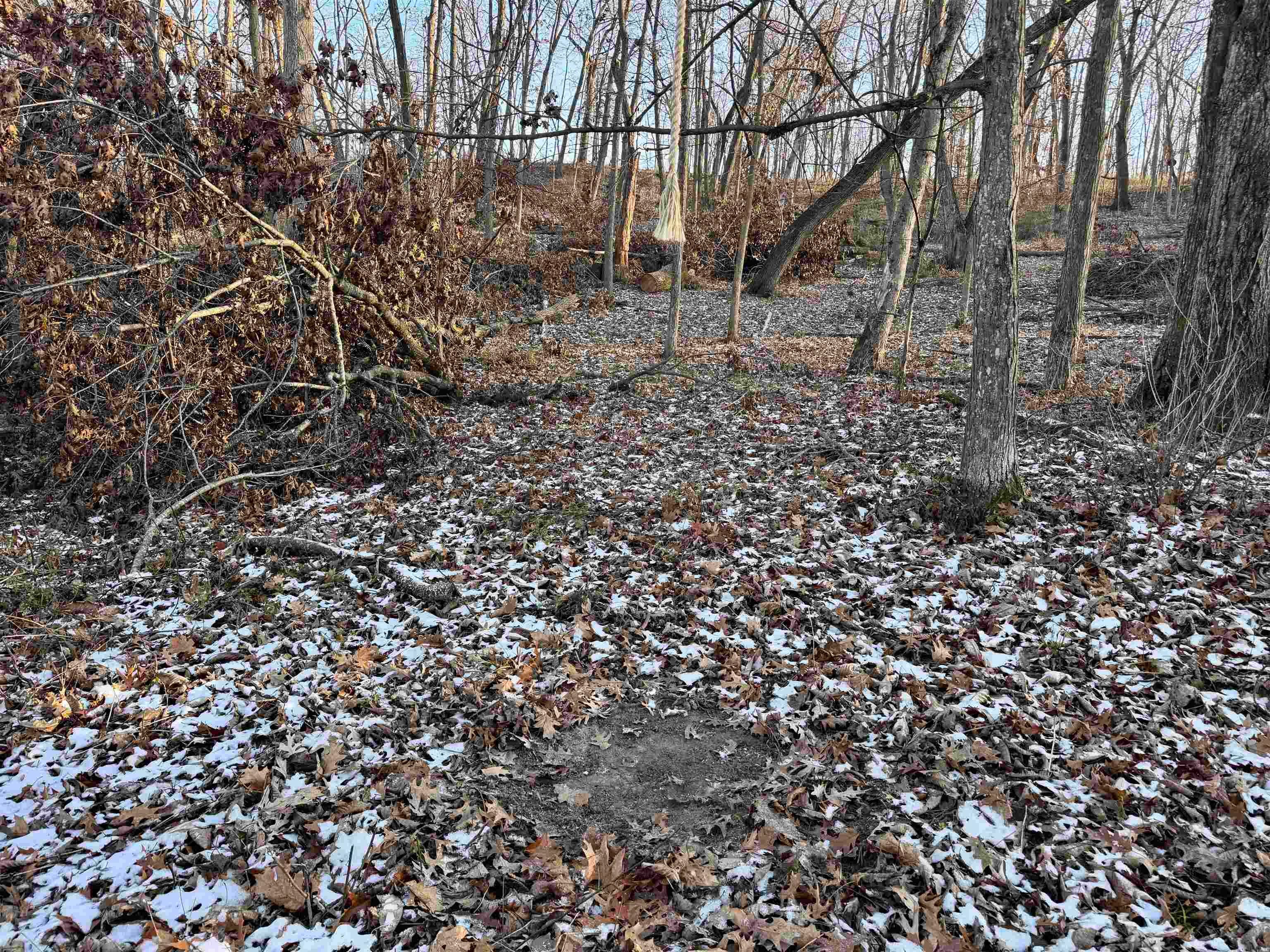 0 Lycurgus Road Waukon, IA 52172 - Photo 12 of 24 Gallery Image 12