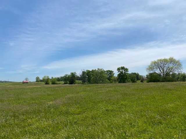 a view of a field with an ocean and trees in the background