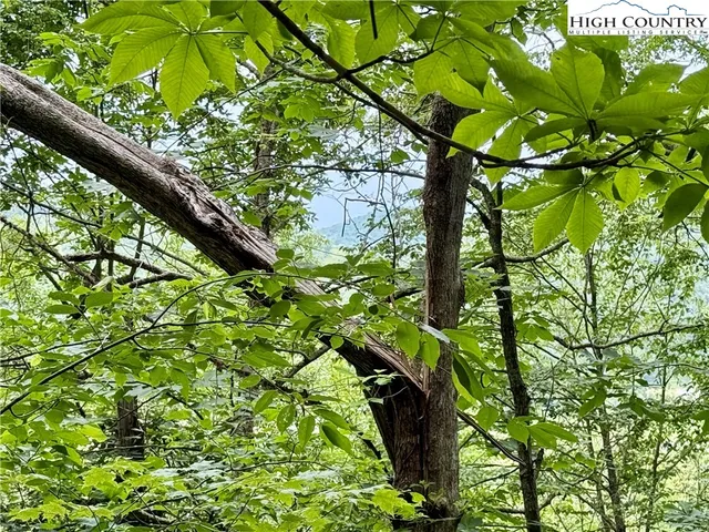 a backyard of a house with lots of green space and a fountain