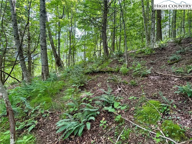 a garden with trees in the back