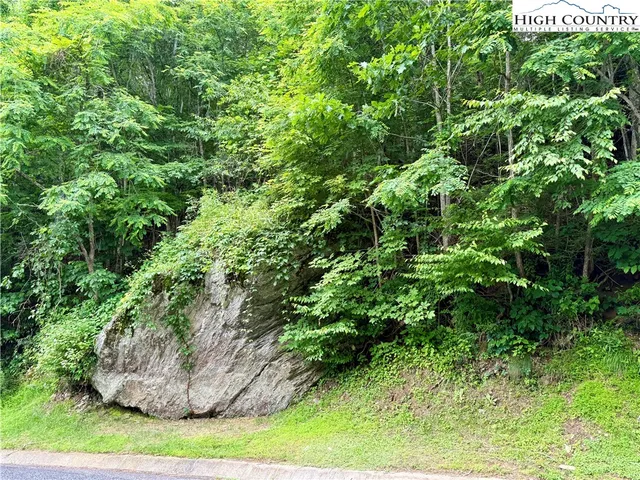 a view of a lake with a yard
