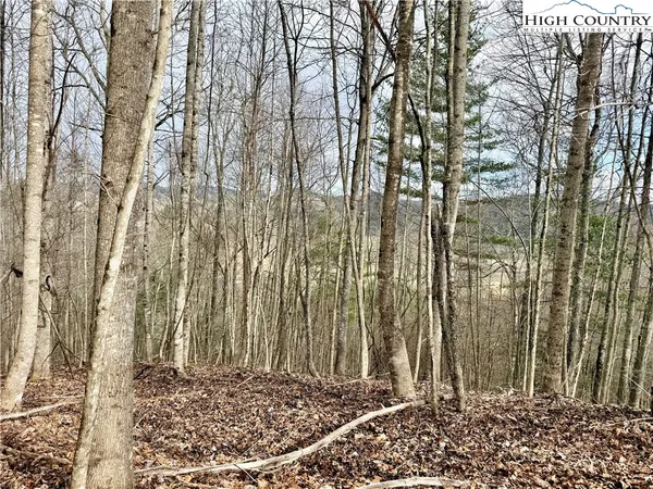 $70,000 | Lot 20 Twin Bridges Circle, Fleetwood, NC 28626