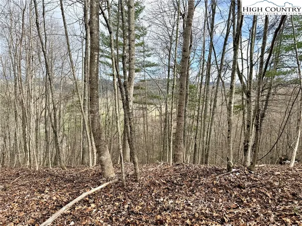 $70,000 | Lot 20 Twin Bridges Circle, Fleetwood, NC 28626
