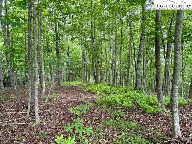 a view of outdoor space and green space