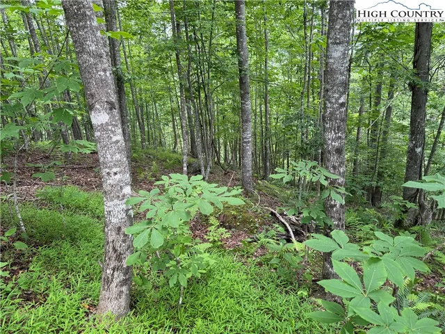 a backyard of a house with lots of swings and plants