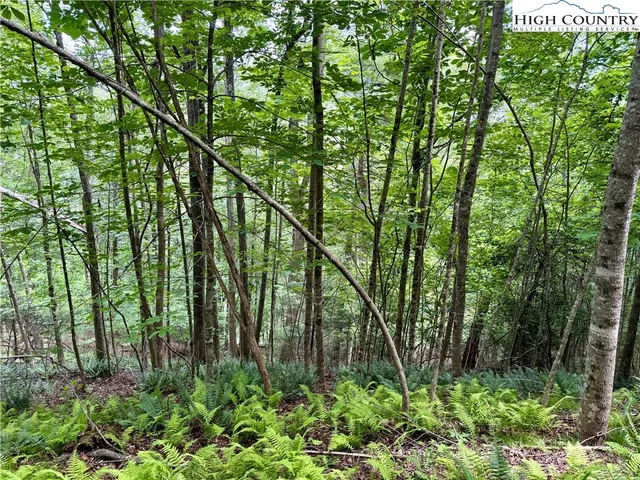 a view of outdoor space and green space