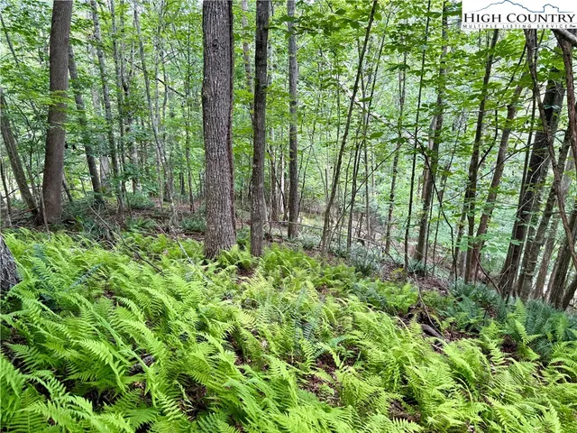 a view of outdoor space and green space