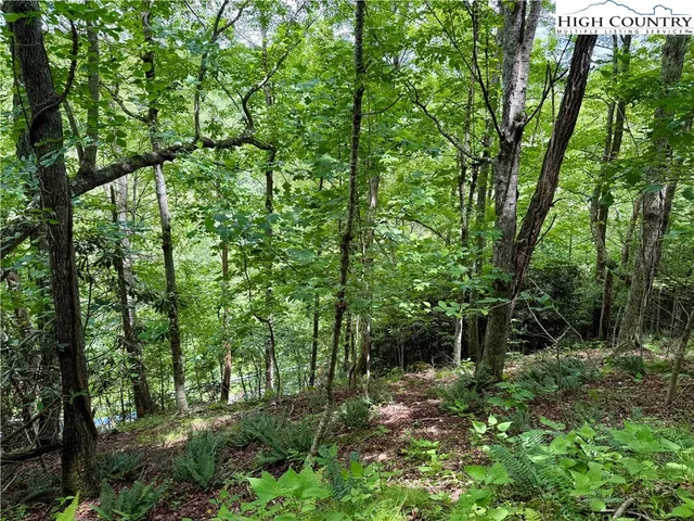 a view of outdoor space and trees