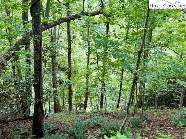 a plant that is sitting in a garden