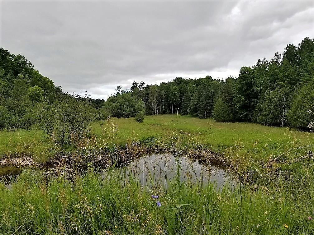 1048 East Scott Road Ossineke, MI 49766 - Photo 20 of 22 Gallery Image 20