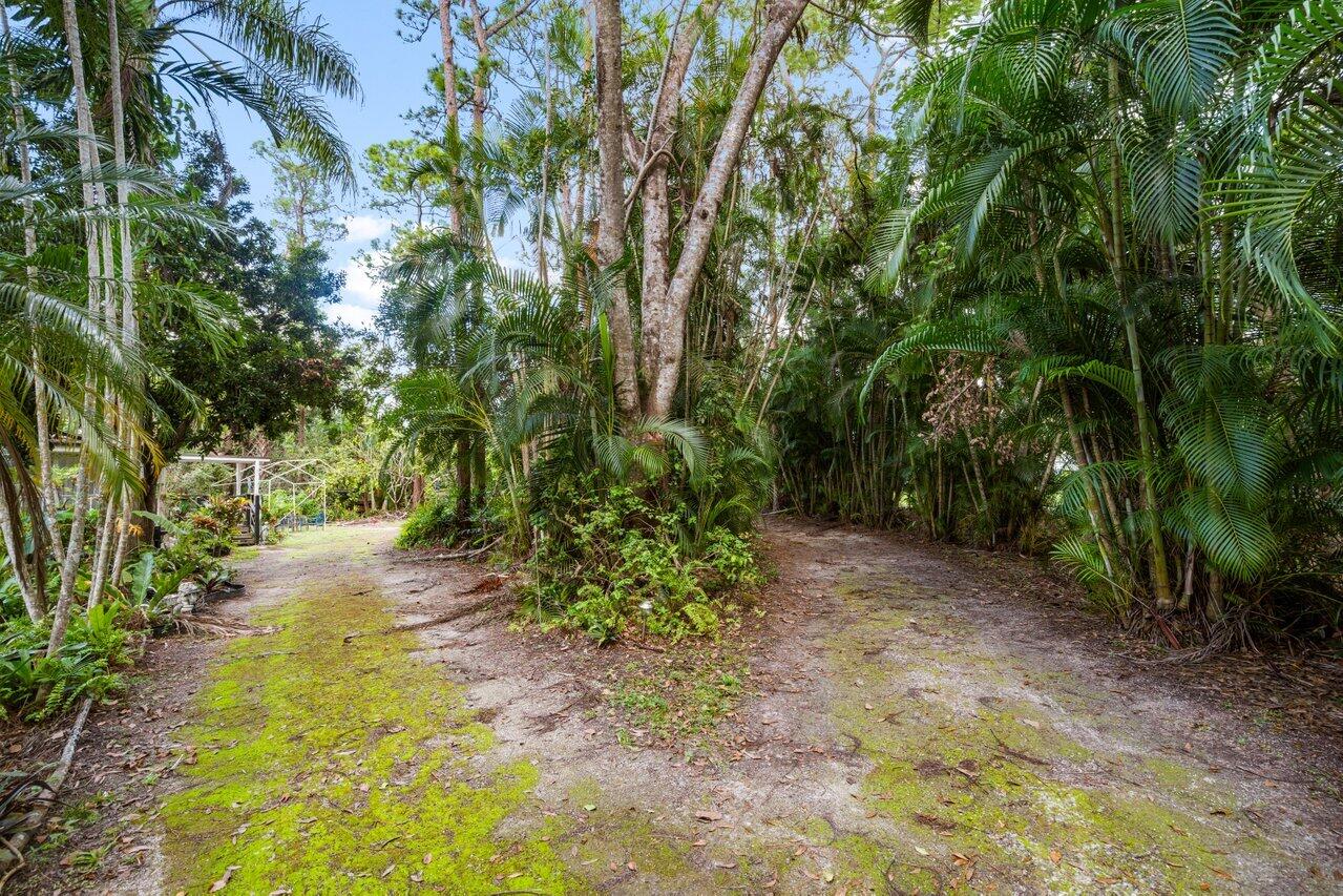 10310 154th Road North Jupiter, FL 33478 - Photo 11 of 31 Driveway