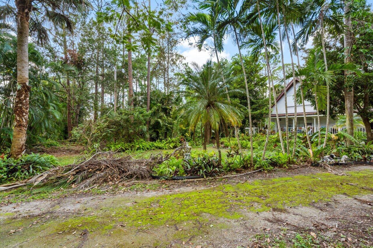 10310 154th Road North Jupiter, FL 33478 - Photo 12 of 31 Garden/trees