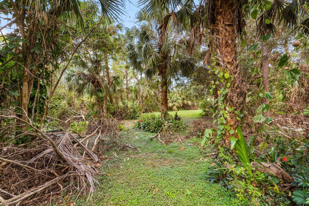 10310 154th Road North Jupiter, FL 33478 - Photo 19 of 31 Backyard