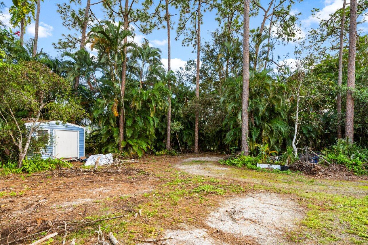 10310 154th Road North Jupiter, FL 33478 - Photo 20 of 31 shed/driveway