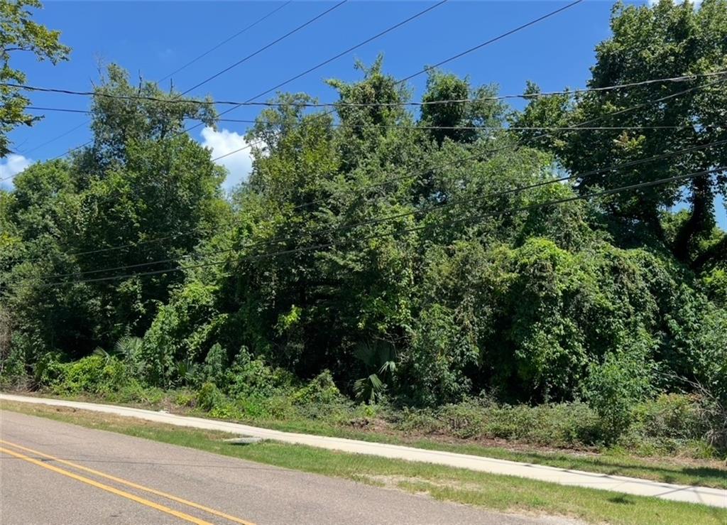 391 Rosethorne Road Lafitte, LA 70067 - Photo 3 of 3