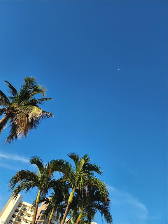 400 Lenell Road, Unit 110 Fort Myers Beach, FL 33931 - Photo 35 of 37 a view of a plant with a plant