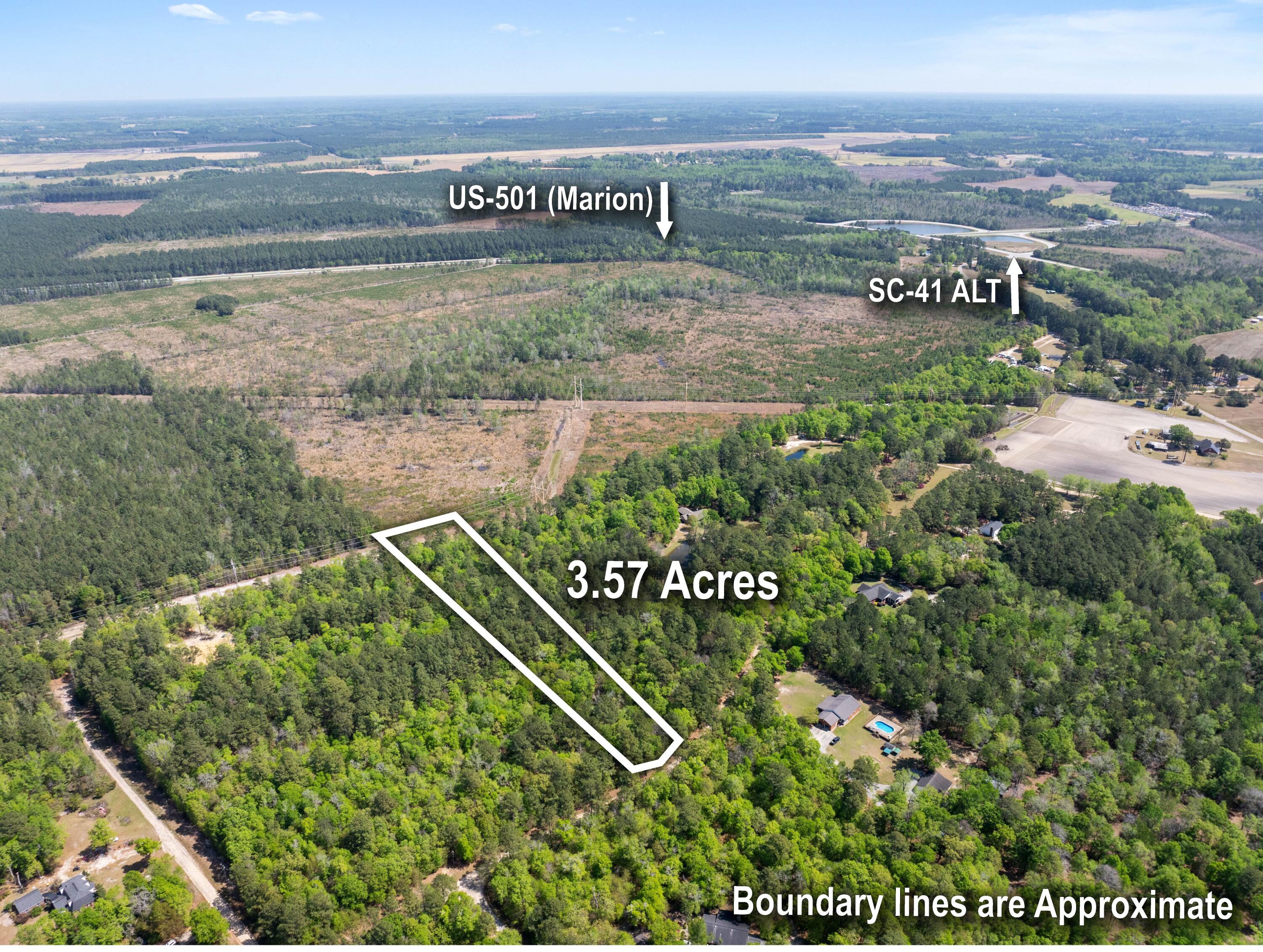0 Forest Place Marion, SC 29571 - Photo 4 of 6