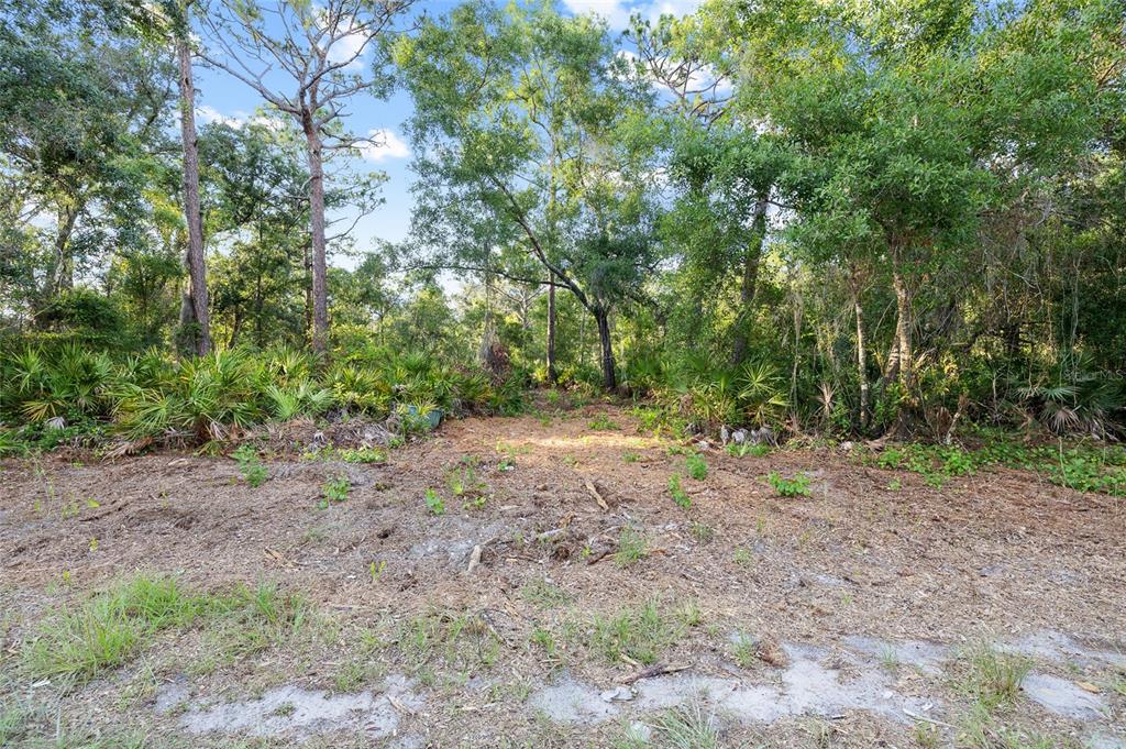 Lake Le Clare Road Lutz, FL 33558 - Photo 14 of 17