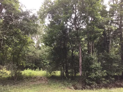 $225,000 | HWY-321 County Road 304, Dayton, TX 77535