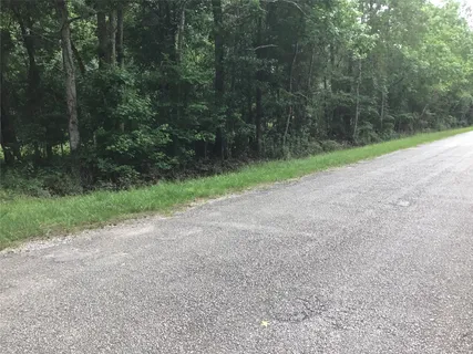 $225,000 | HWY-321 County Road 304, Dayton, TX 77535
