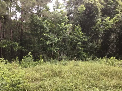 $225,000 | HWY-321 County Road 304, Dayton, TX 77535