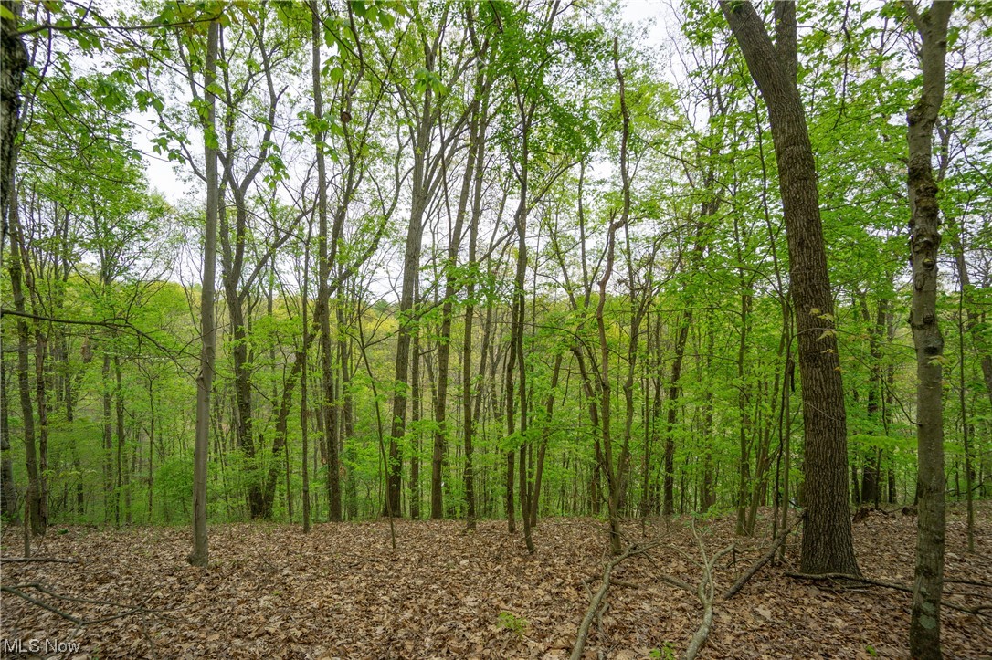 Palmer Road Kimbolton, OH 43749 - Photo 23 of 26 Gallery Image 23