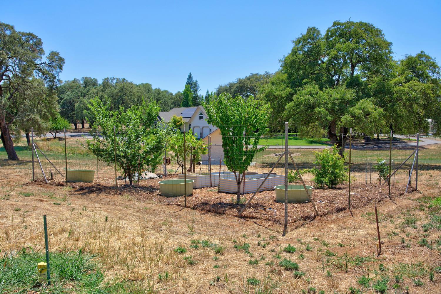 5343 Milton Ranch Road Shingle Springs, CA 95682 - Photo 41 of 58