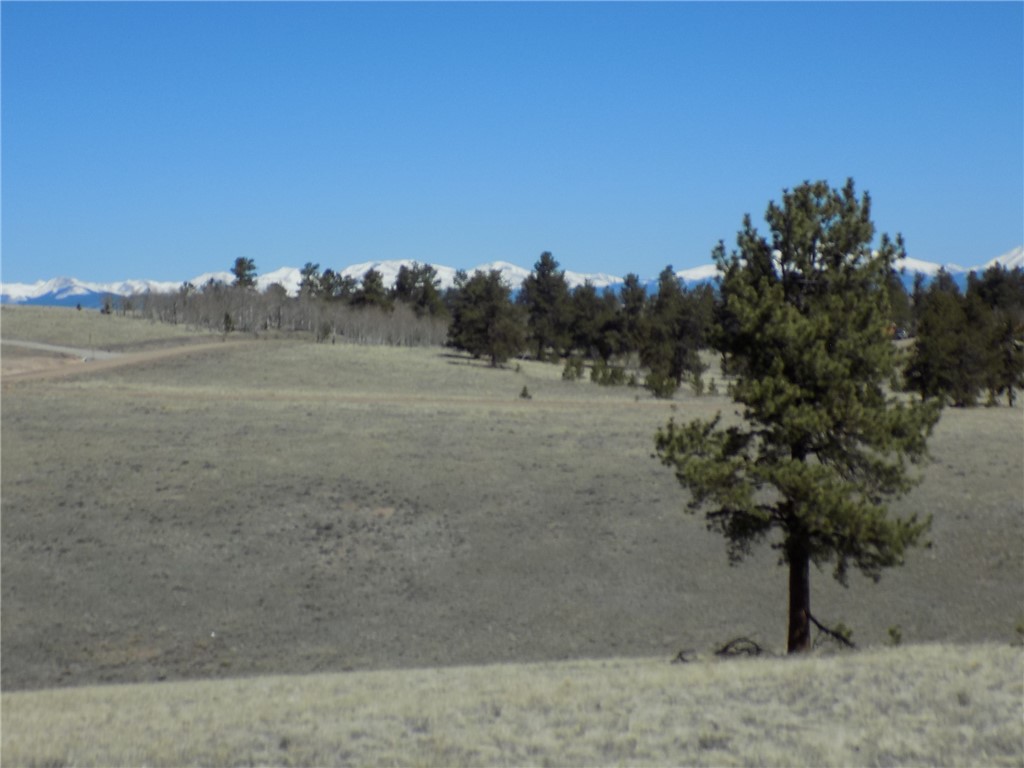 10617 Ranch Road Hartsel, CO 80449 - Photo 4 of 7 Gallery Image 4