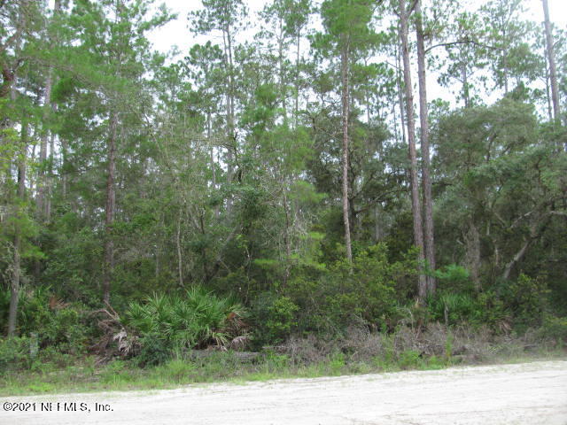 106 Bayberry Road Georgetown, FL 32139 - Photo 3 of 3 a view of a yard with trees