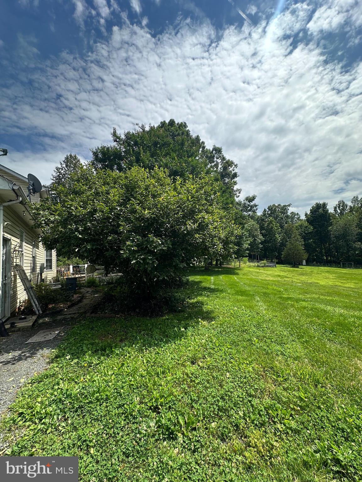 8470 Dunkard Church Road Rixeyville, VA 22737 - Photo 20 of 24 a view of a yard