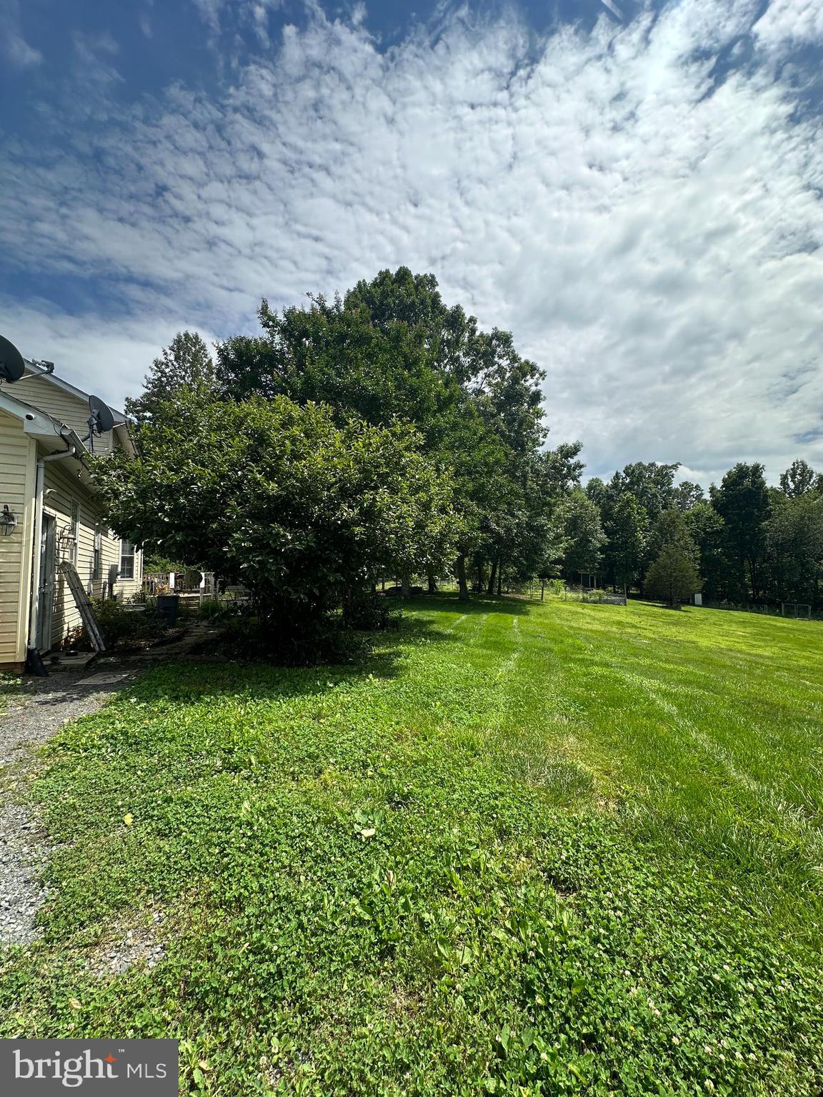 8470 Dunkard Church Road Rixeyville, VA 22737 - Photo 21 of 24 a backyard of a house with lots of green space