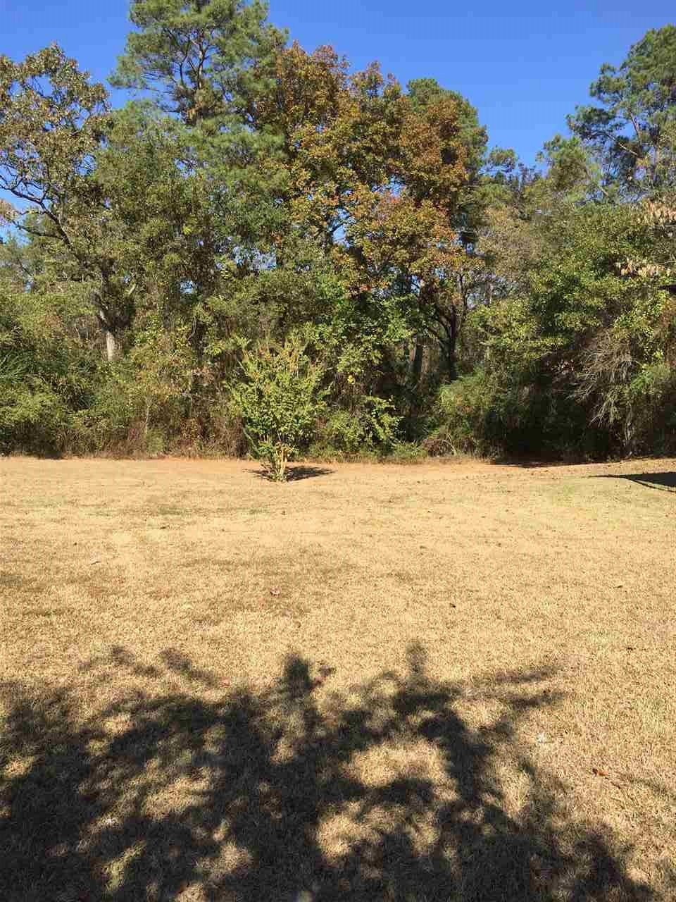 949 Warrentown Road Pulaski, MS 39152 - Photo 5 of 11 Photo 5