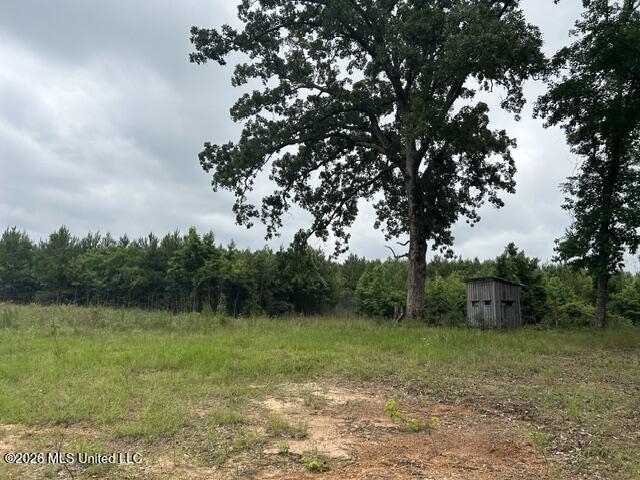 301 Freeman Road Southwest Summit, MS 39666 - Photo 37 of 43 IMG_4623