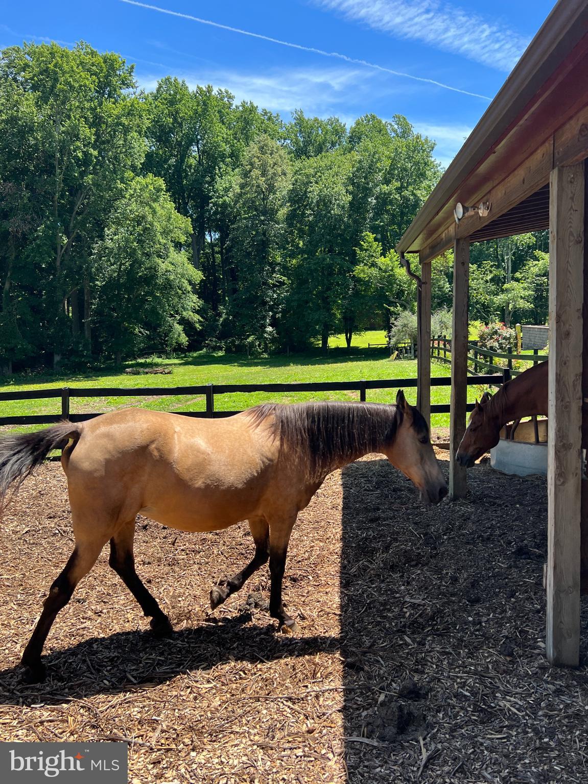 18421 New Hampshire Avenue Ashton, MD 20861 - Photo 29 of 55