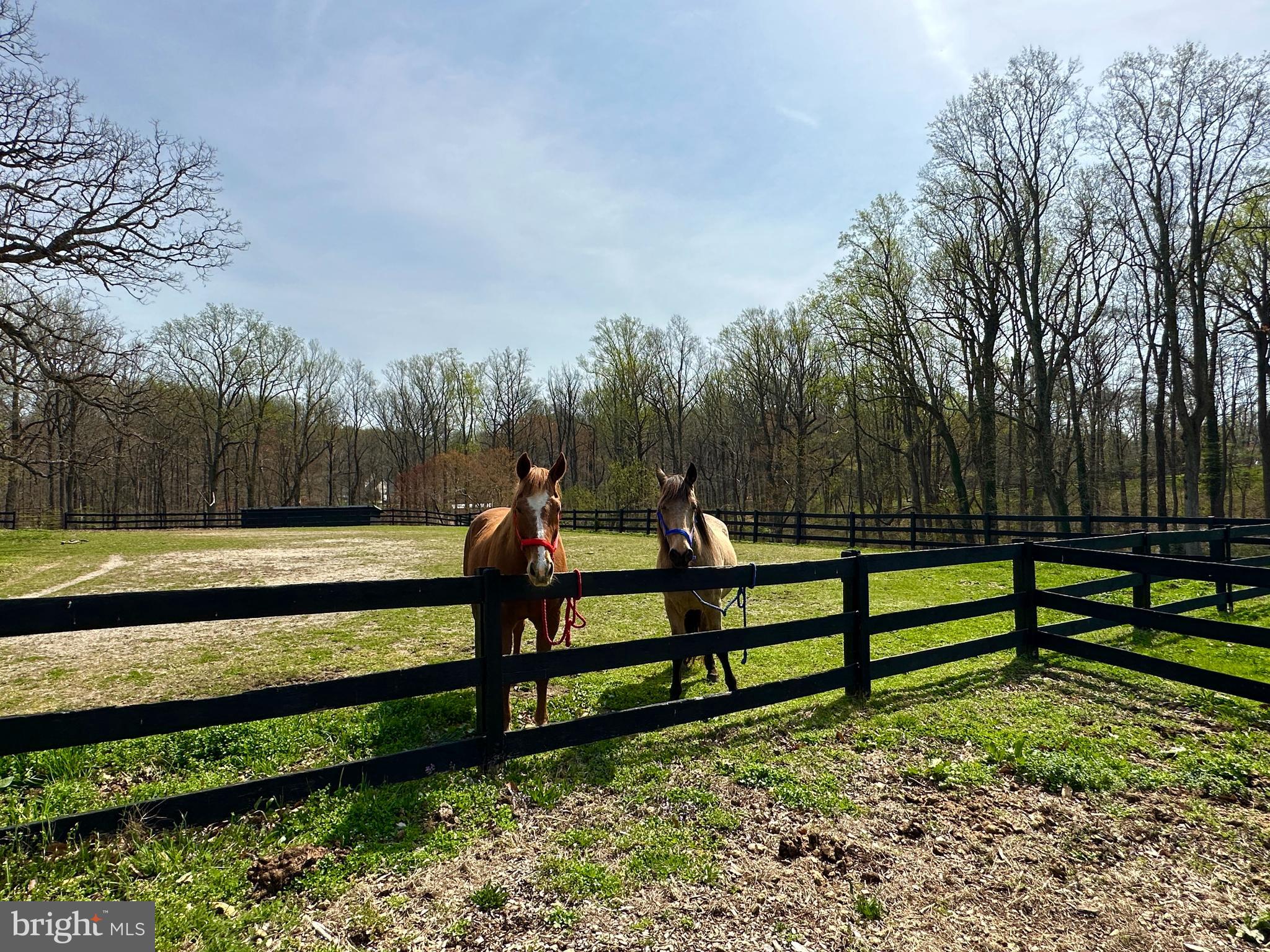 18421 New Hampshire Avenue Ashton, MD 20861 - Photo 30 of 55