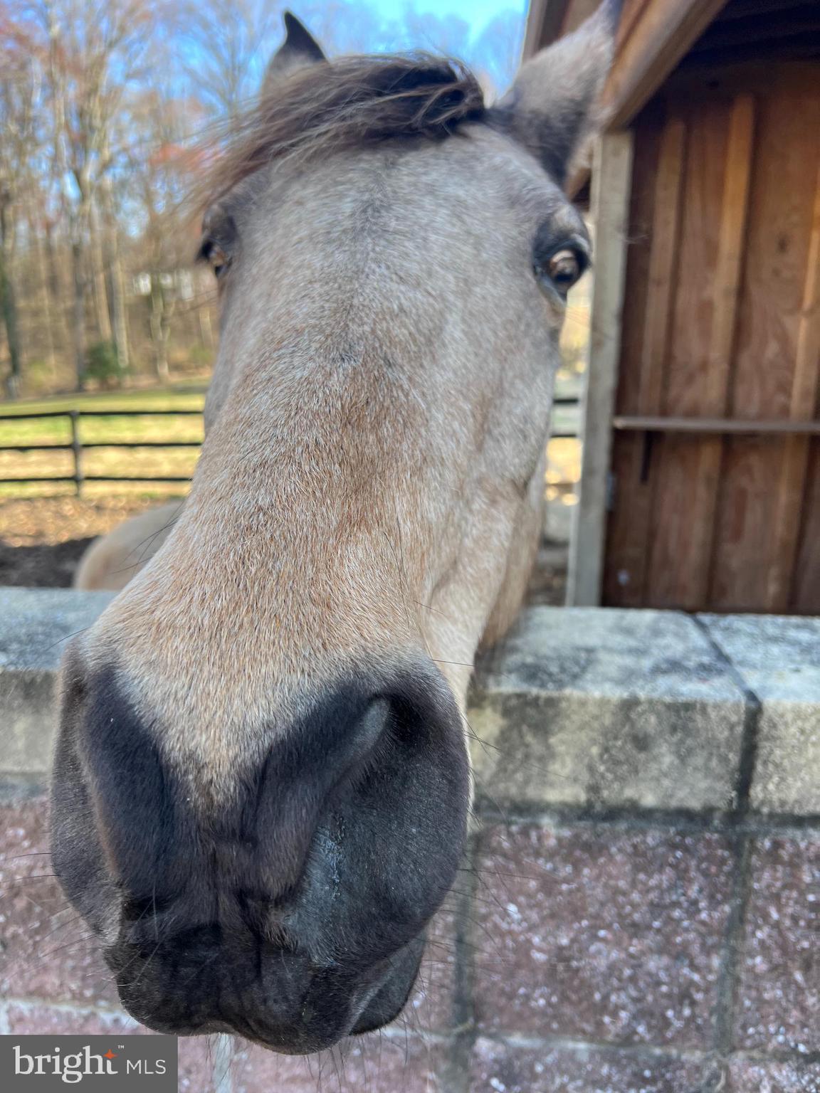 18421 New Hampshire Avenue Ashton, MD 20861 - Photo 55 of 55