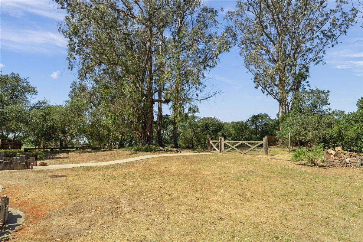 17089 McGuffie Road Salinas, CA 93907 - Photo 38 of 42