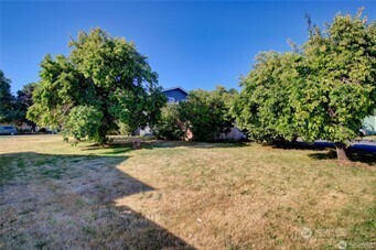 1214 36th Street Anacortes, WA 98221 - Photo 2 of 23 a view of backyard with green space