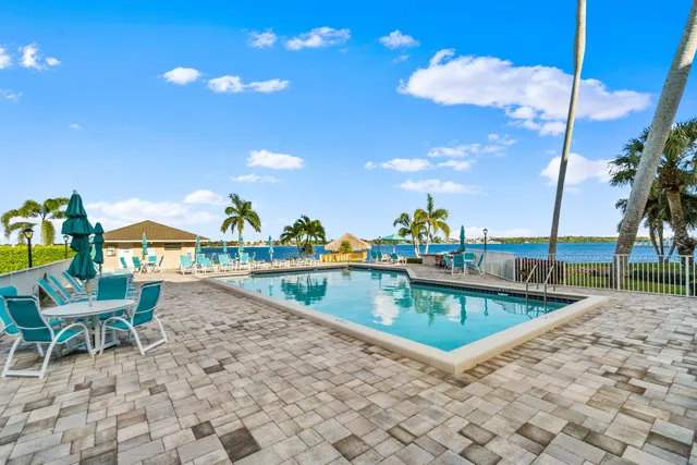 a view of a lake with a palm tree