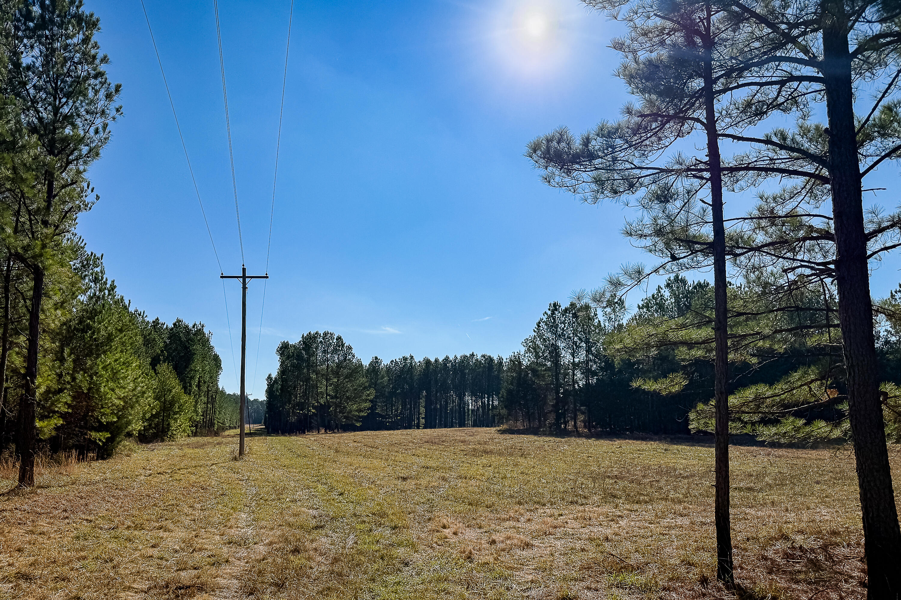 0 Leeds Road Carlisle, SC 29031 - Photo 11 of 29 Compass South Land Sales South Carolina